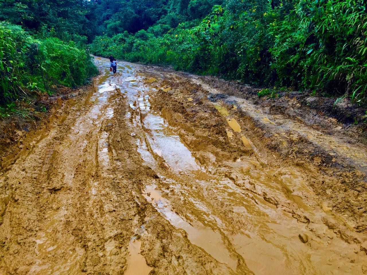 muddy road.jpg